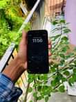 A picture of Iphone 8 Plus