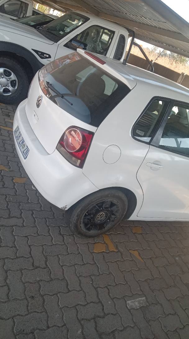 polo vivo