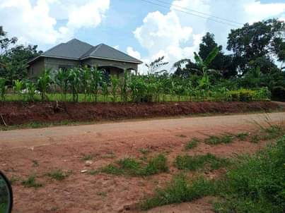 houses matugga