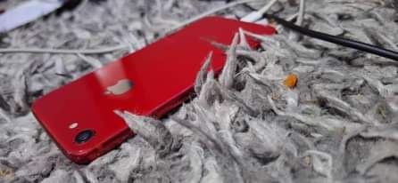 A picture of IPHONE 8 256GB