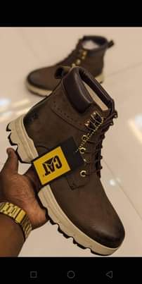 A picture of Boot kali
