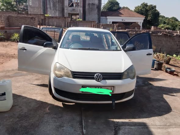 polo vivo