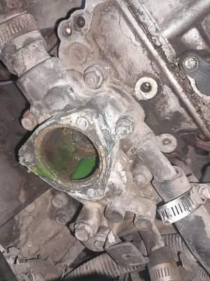used nissan sunny