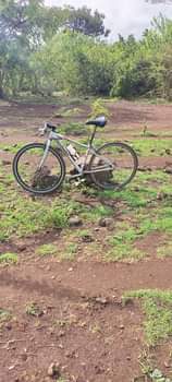 Mwangi K.