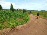 A picture of PLOTS ON SALE In Mpigi Mpambire Masaka road 2km from