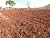 A picture of MASHAMBA HAYO YANAUZWA SPECIAL KWA KULIMA NA KUFUGA HILO JINGINE