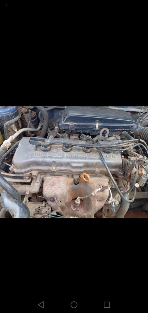 A picture of NISSAN PRIMERA. 09125771985