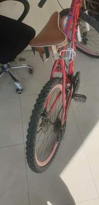 A picture of Baiskeli bcycle