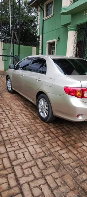 A picture of Toyota Corolla 09 010 LE Everything perfect Buy and drive