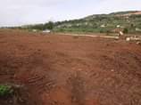 A picture of HALF LONDON ESTATE WAKISO TOWN 50BY100 WITH READY LAND TITLE