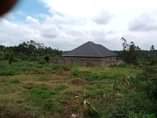 A picture of 1 plot remaining for quick sale
