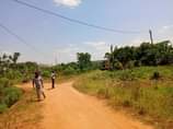 A picture of 497 Acres of land On sale Location Wabusana kalagala Nakaseke