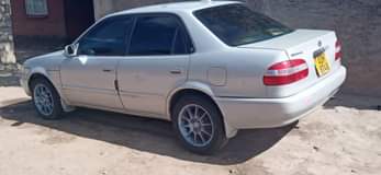 used toyota corolla