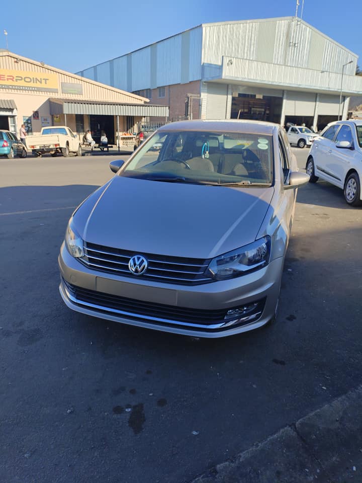 polo vivo