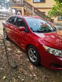 A picture of Toyota corolla 2010