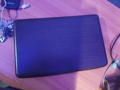 A picture of Acer