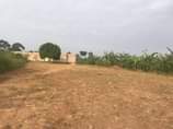 A picture of Matugga kiweebwa new site