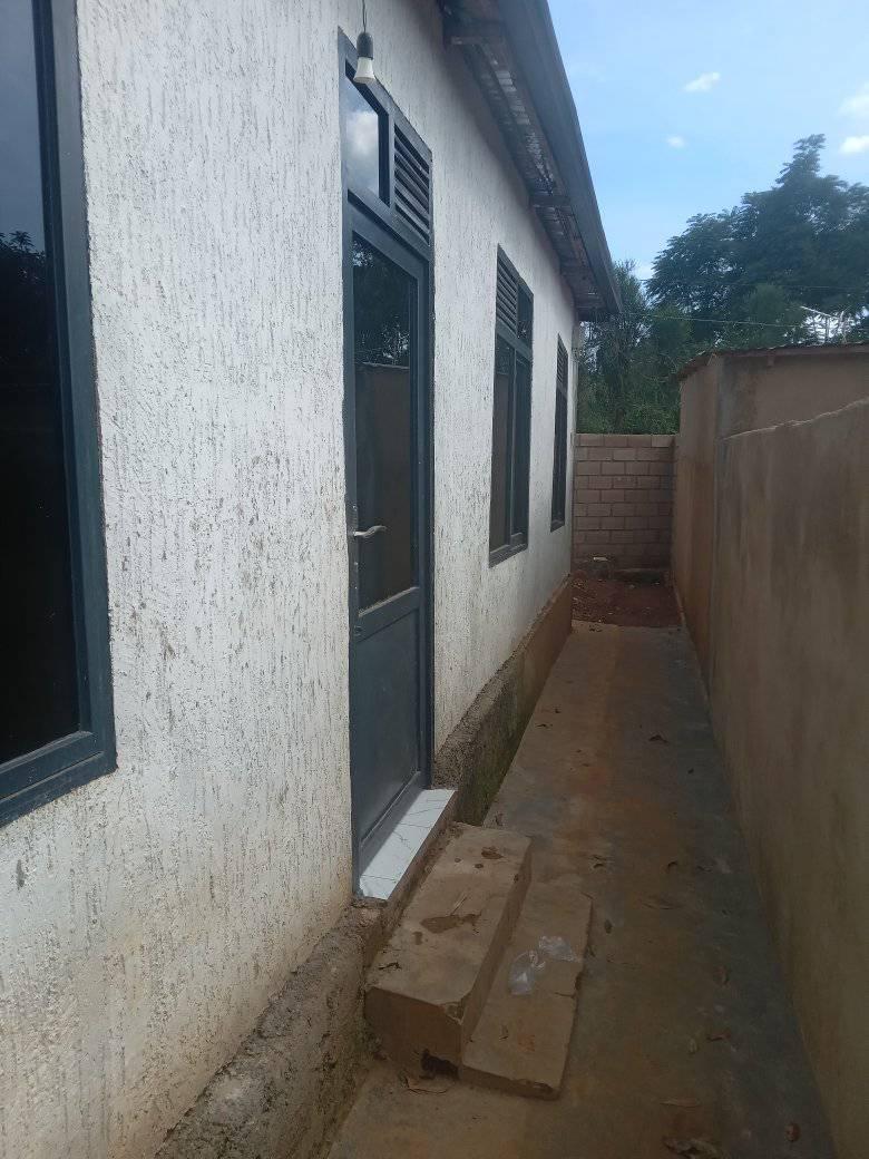 houses for rent