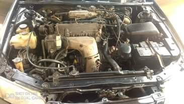 A picture of Pencil camry