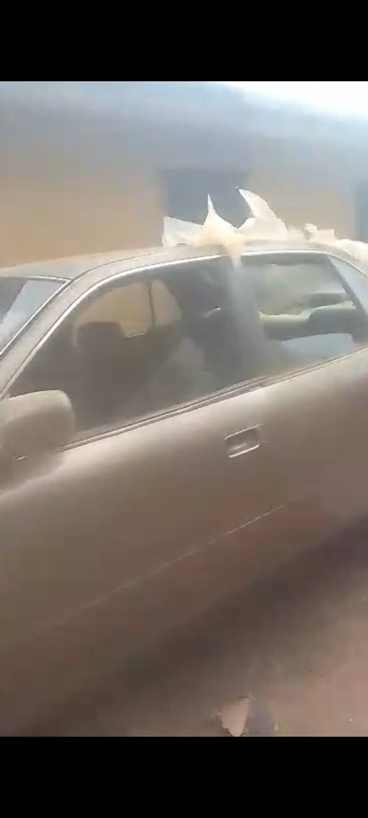 A picture of 1999 Camry Orobo