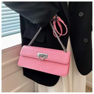 A picture of French niche chain bag