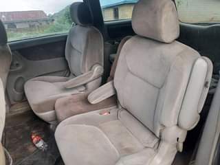 A picture of Sienna for sale