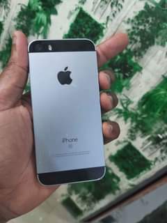 A picture of Iphone 5SE