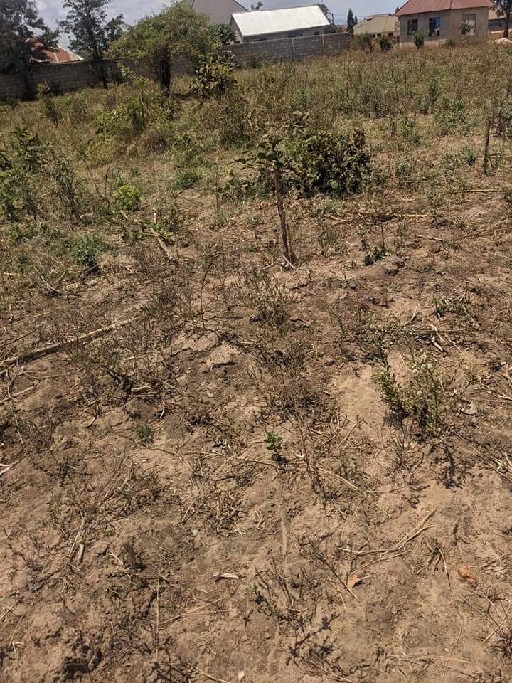 A picture of Eneo ekari moja linauzwa lukobe morogoro milioni 20