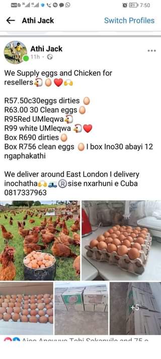 Thembani T.