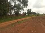 A picture of New estate matugga migadde 100by100ft 15m 100by50ft 8m 50by50ft 4