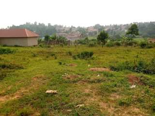 A picture of Kibanja plots for sale in Namugongo Bukerere 7M