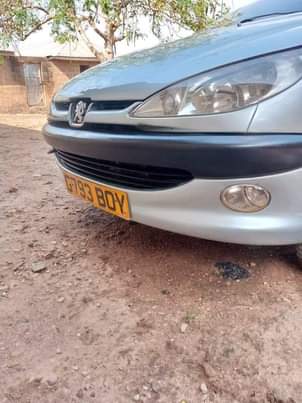 A picture of Peugeot 206