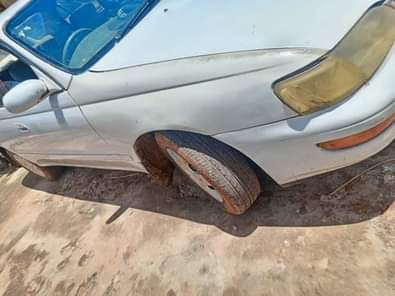 A picture of Kibina 4.9m Raum 8.9m 0705835212
