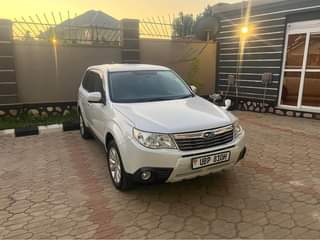 A picture of Subaru Forester