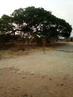 mwembeshi