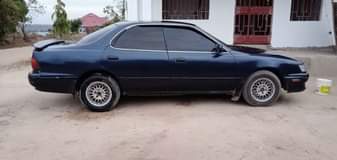 A picture of COROLLA