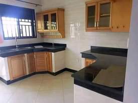 A picture of Katungi properties