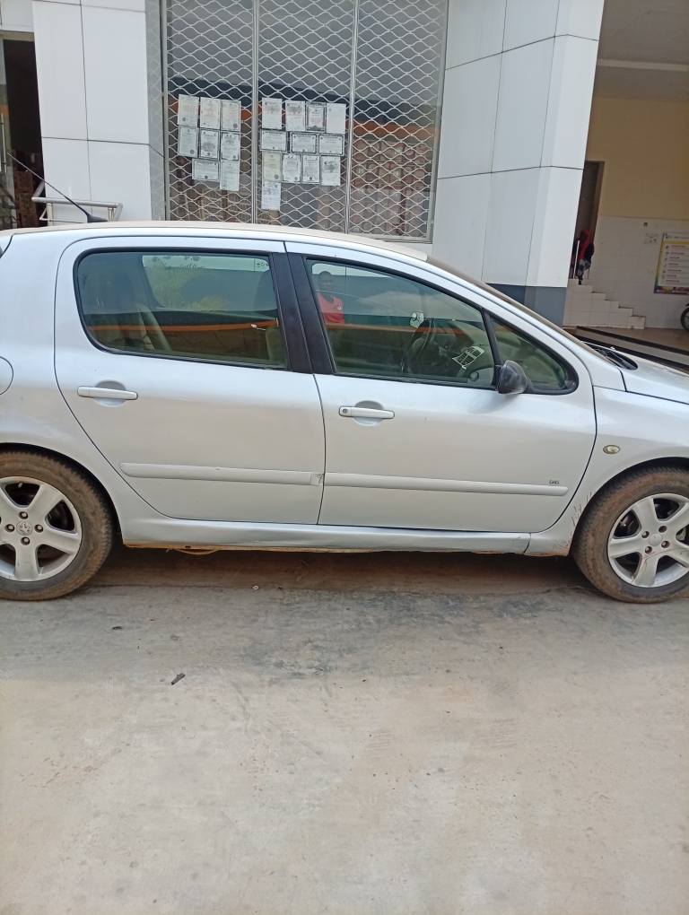 A picture of Peugeot 307