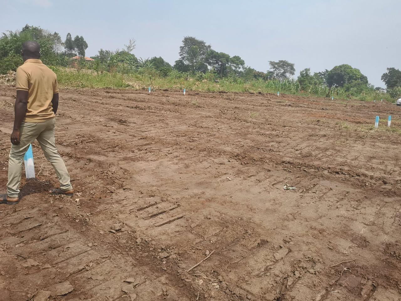 A picture of Plots at 6M 50x100ft