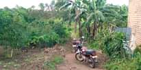 A picture of 50x100FT PLOTS WITH READTITLE ON QUICK SALE LOCATED MATUGGA KIWEBWA