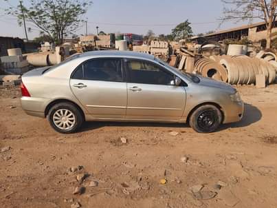 toyota corolla bubble