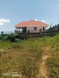 A picture of Prime plots 37m