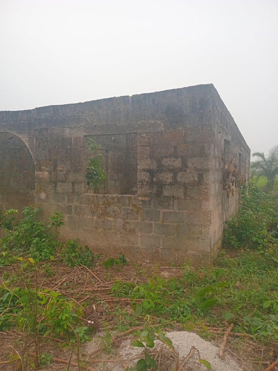 A picture of Landed property