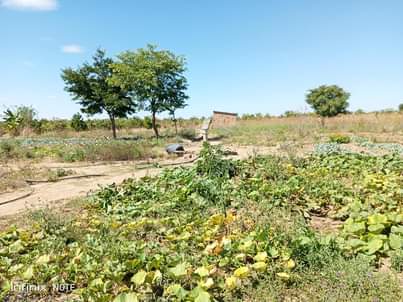 farms for sale