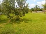 A picture of  SHELL HOUSE IN MATUGGA SSANGA ON SALE AT 530m