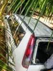 A picture of NISSAN XTAIL