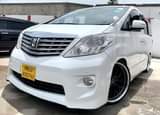 A picture of Alphard Mil 36 5 Call 0621043010