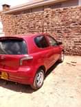 A picture of vitz