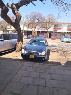 cars bulawayo