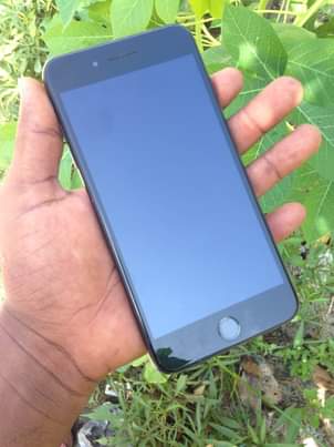 A picture of 255762353345